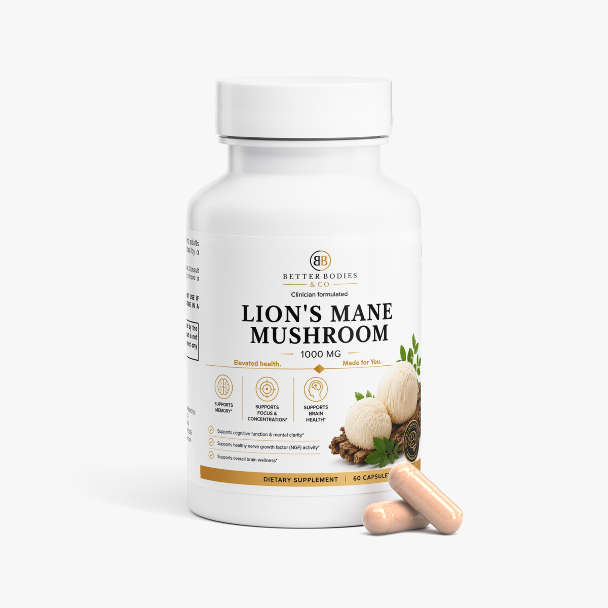 Lion's Mane Mushroom